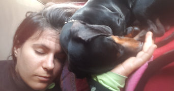 hanaa pet sitter à MONTREUIL 93100_6