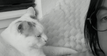 emily pet sitter à MULHOUSE 68100_3