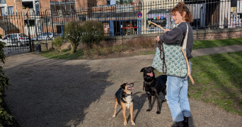 vinciane pet sitter à ARRAS 62000_4