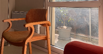 sophia pet sitter à BORDEAUX 33200_2
