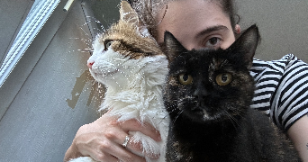 mel pet sitter à CHAMALIERES 63400_3