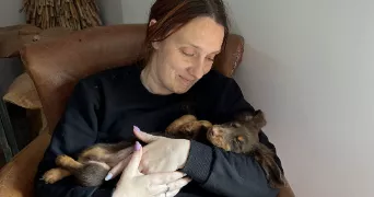 julie pet sitter à MARIGNIER 74970
