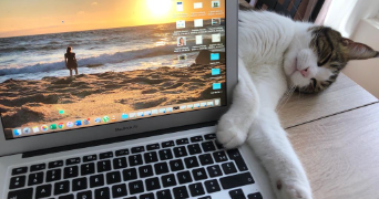 aude pet sitter à PARIS 06 75006_7