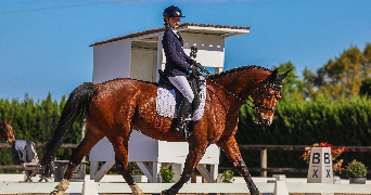 eleonore pet sitter à MAZERES LEZONS 64110_1
