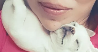 stéphanie pet sitter à BRAS 83149