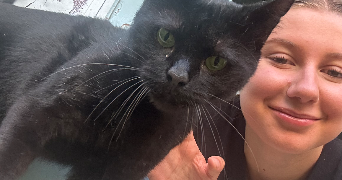 elsa pet sitter à TONNEINS 47400_2