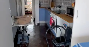 emma pet sitter à LILLE 59000_3