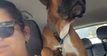 audrey pet sitter à La Roche-sur-Yon 85000_2