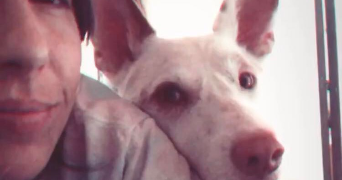 noémie pet sitter à TOULOUSE 31200_0