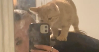 juliette pet sitter à LANTA 31570_0