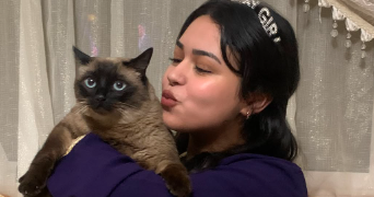 rania pet sitter à CLERMONT FERRAND 63000_1
