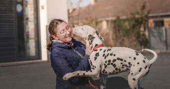estelle pet sitter à WARLOY BAILLON 80300_0