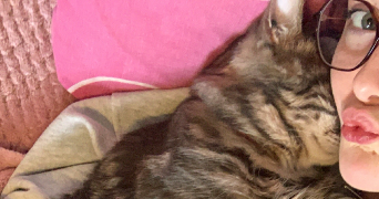 alix pet sitter à MERIGNAT 01450_5