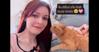 mélodine pet sitter à LA CHAPELLE DES FOUGERETZ 35520_2
