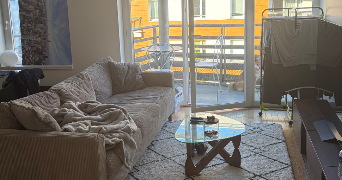 emmy dog sitter à ISSY LES MOULINEAUX 92130_3