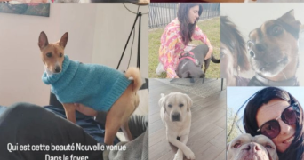 jennifer pet sitter à VILLALIER 11600_2