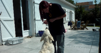 loane pet sitter à VERTOU 44120_0