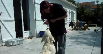 loane pet sitter à VERTOU 44120