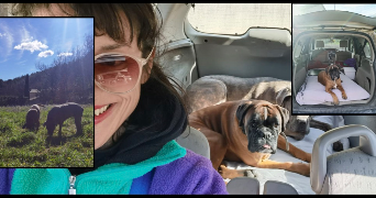 sidonie pet sitter à AUBAGNE 13400_4