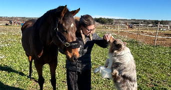 chloe pet sitter à Villetelle 34400_0