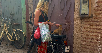 morgan pet sitter à TULLE 19000_2