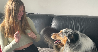 mélanie pet sitter à MENNECY 91540_0