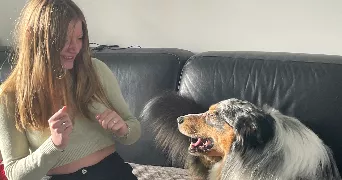 mélanie pet sitter à MENNECY 91540
