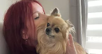 raphael dog sitter à GAURAIN-RAMECROIX 7530