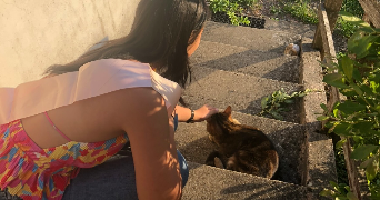 valentine pet sitter à BREST 29200_5