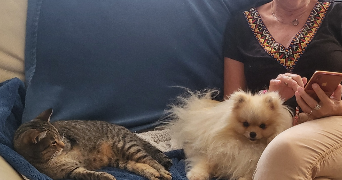 pascale pet sitter à PARAY LE MONIAL 71600_6