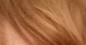 pierre-yves pet sitter à BAULE 45130