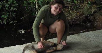 victoire pet sitter à TOULOUSE 31300