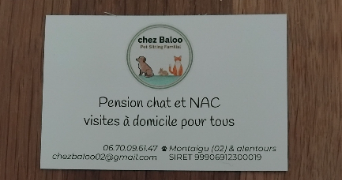 baloo pet sitter à MONTAIGU 02820_0