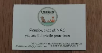baloo pet sitter à MONTAIGU 02820
