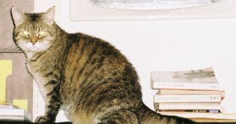 anais pet sitter à Paris 18 75018_1