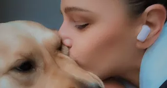 pauline pet sitter à LAVAL 53000