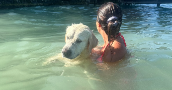 margaux pet sitter à ANNECY 74000_3