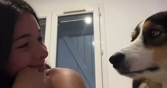 ana pet sitter à NEZIGNAN L EVEQUE 34120_1