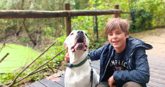 lolaetnoah pet sitter à MONTEVRAIN 77144_8