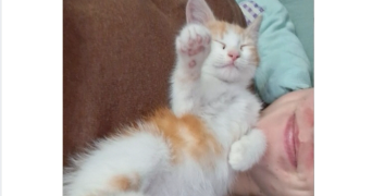 jeanne pet sitter à MARSEILLE 08 13008_2