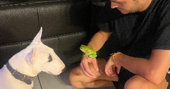 axel pet sitter à BORDEAUX 33000_4