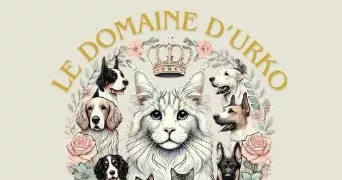 ludivine pet sitter à ESCAUTPONT 59278