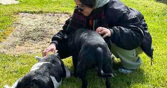 martin pet sitter à ALFORTVILLE 94140_1