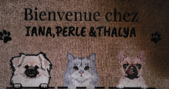 marie laure pet sitter à ECOMMOY 72220_1