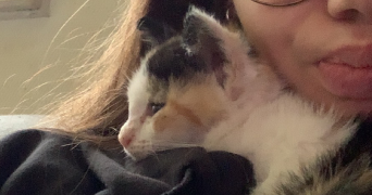 kelly pet sitter à ST HILAIRE SUR RISLE 61270_4