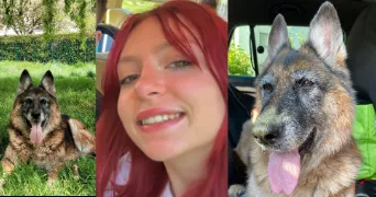 carla dog sitter à VAUCRESSON 92420