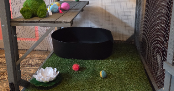 baloo pet sitter à MONTAIGU 02820_4
