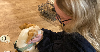 margaux pet sitter à LYON 02 69002_3