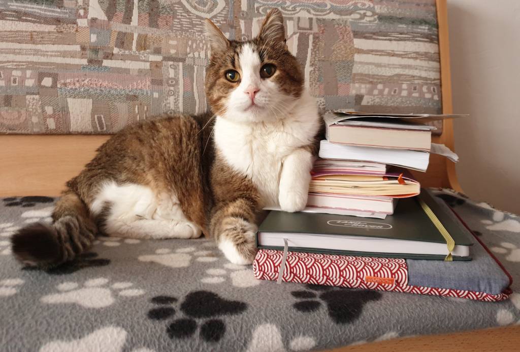 Tanja pet sitter à CAMBRONNE LES RIBECOURT 60170_1