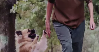 florence pet sitter à DRAGUIGNAN 83300